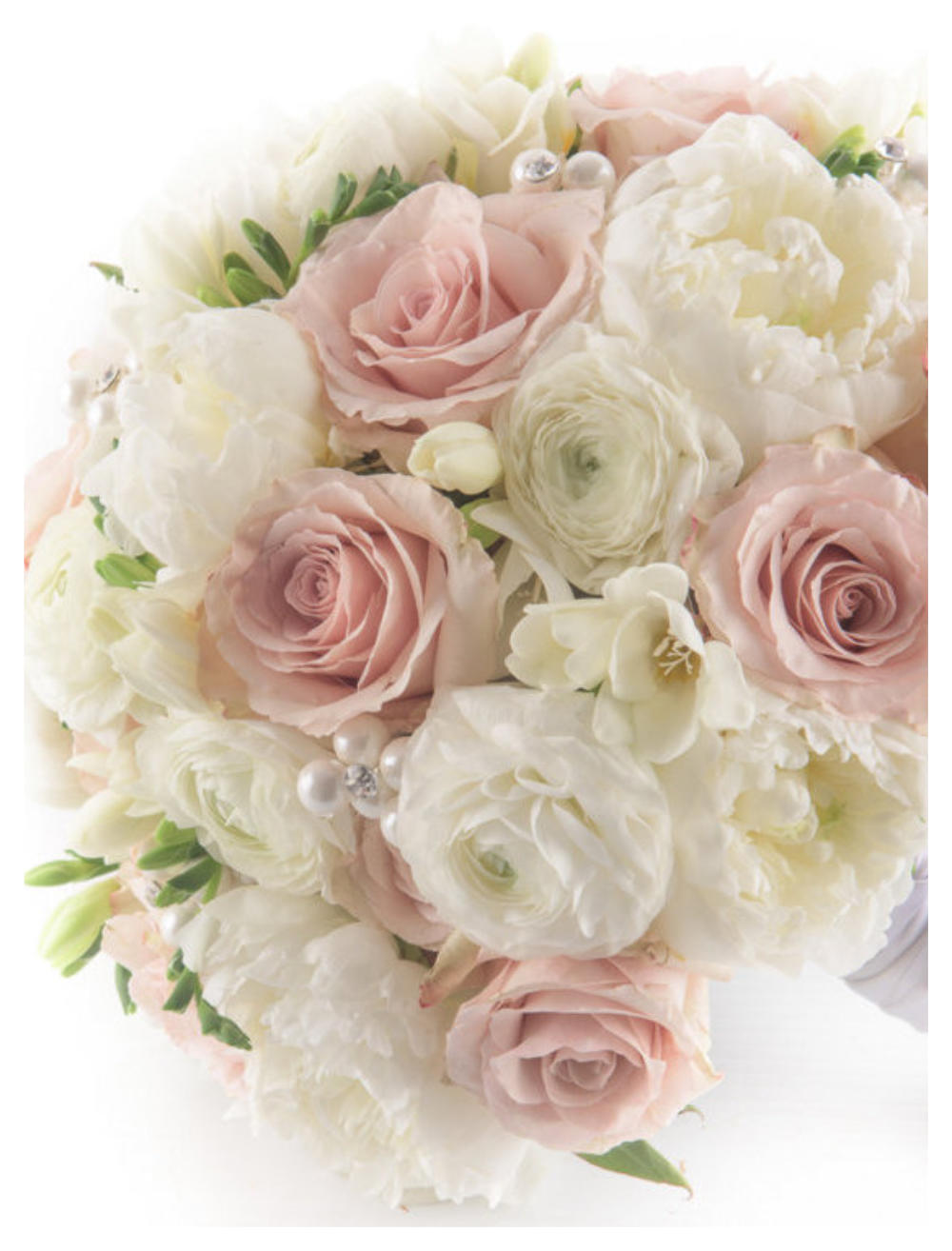 Flowers Regina Sask Best Flower Site