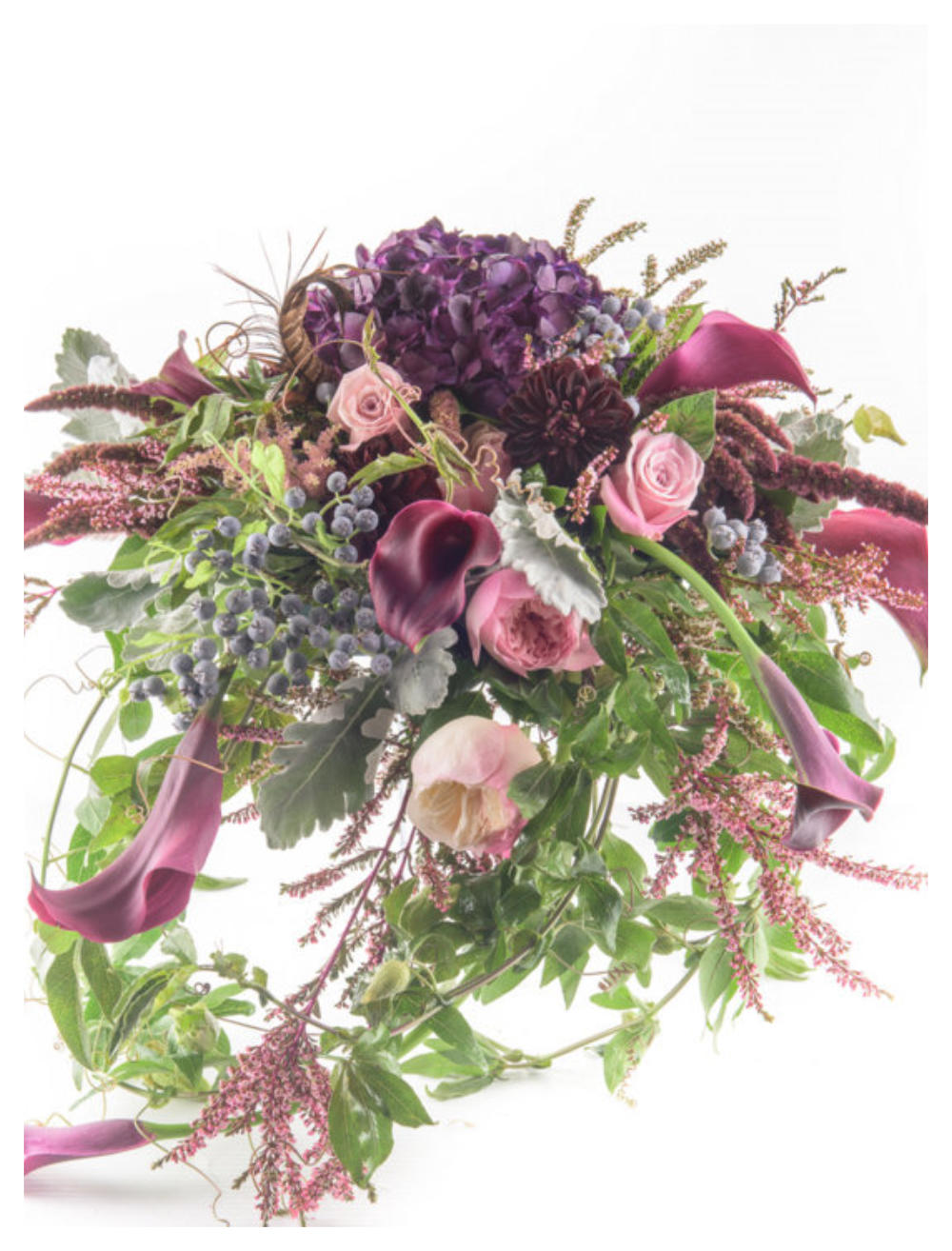 Flowers Regina Sask Best Flower Site