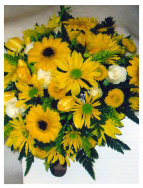 The Flower Hut Regina Sk Best Flower Site