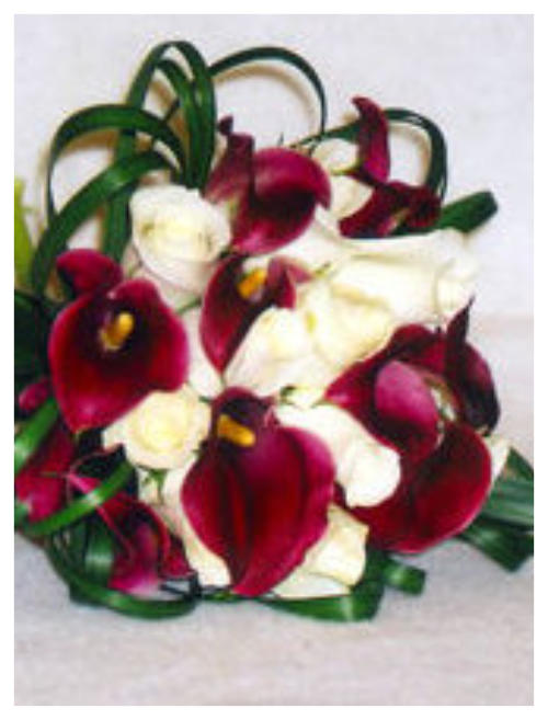 The Flower Hut Regina Sk Best Flower Site