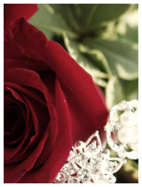 Emerald Park Flower Shop, wedding flowers, Saskatoon Saskatchewan, Sask, SK