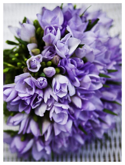 Emerald Park Flower Shop, wedding flowers, Saskatoon Saskatchewan, Sask, SK